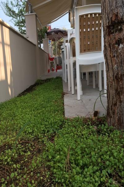 Vira Hotel ダルヤン エクステリア 写真